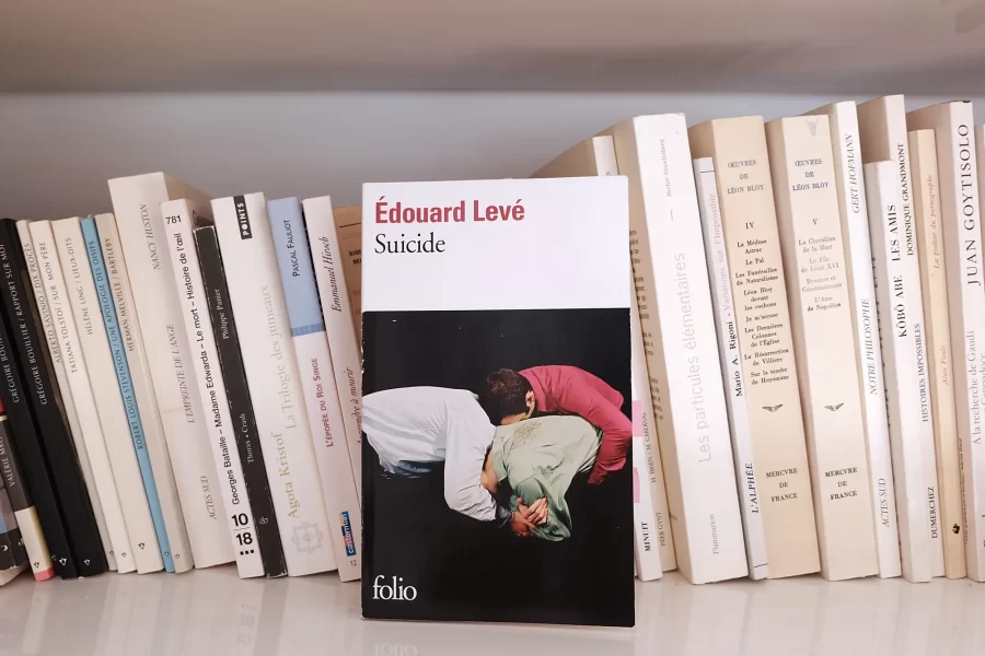 Samoubistvo, francusko izdanje, korica